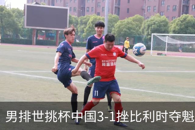 男排世挑杯中国3-1挫比利时夺魁 进军2025世联赛